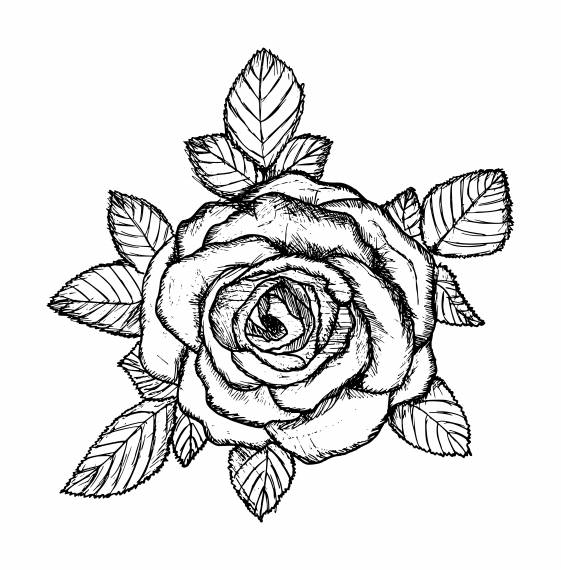 sssss coloring page